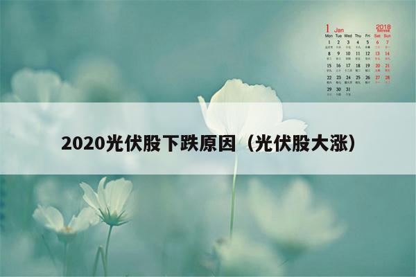 2020光伏股下跌原因（光伏股大涨）