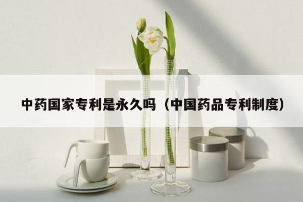 中药国家专利是永久吗（中国药品专利制度）