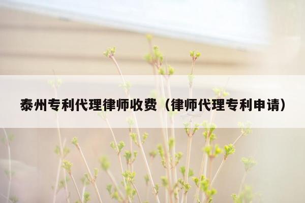 泰州专利代理律师收费（律师代理专利申请）