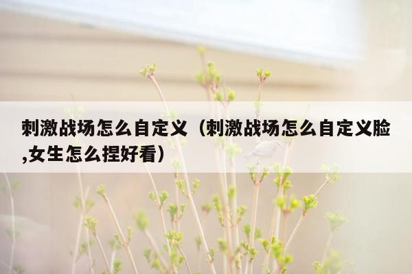 刺激战场怎么自定义（刺激战场怎么自定义脸,女生怎么捏好看）