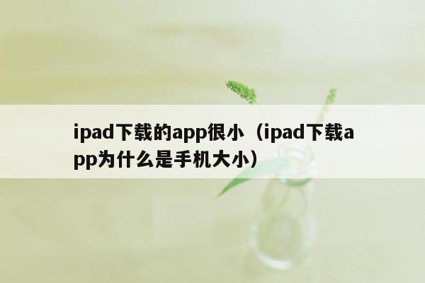 ipad下载的app很小（ipad下载app为什么是手机大小）