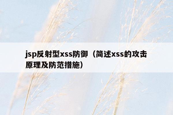 jsp反射型xss防御（简述xss的攻击原理及防范措施）