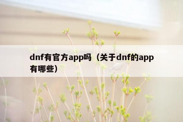 dnf有官方app吗（关于dnf的app有哪些）