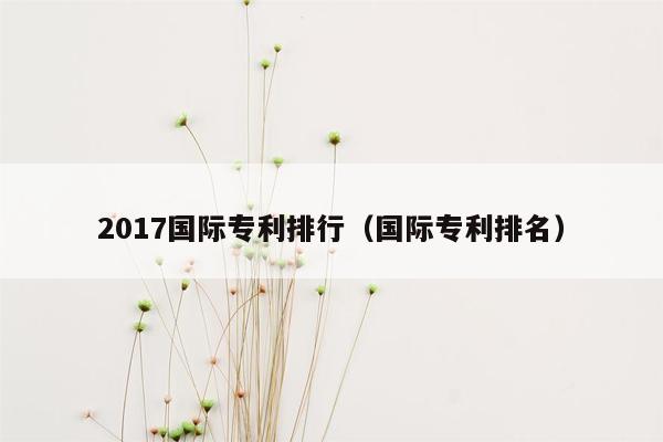 2017国际专利排行（国际专利排名）