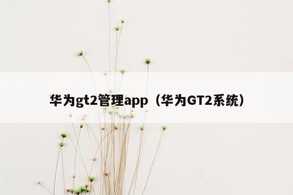 华为gt2管理app（华为GT2系统）