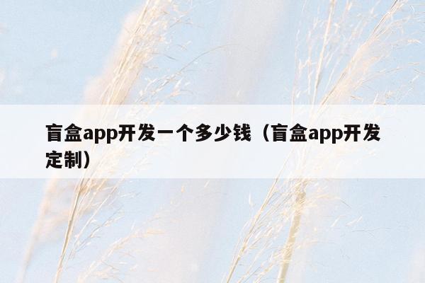 盲盒app开发一个多少钱（盲盒app开发定制）