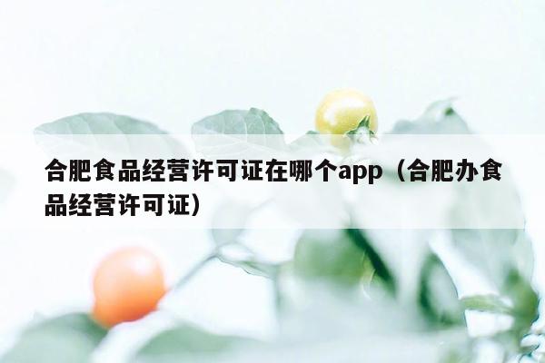 合肥食品经营许可证在哪个app（合肥办食品经营许可证）