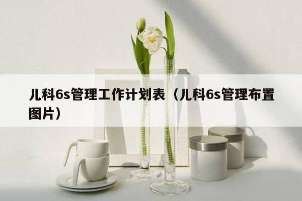 儿科6s管理工作计划表（儿科6s管理布置图片）