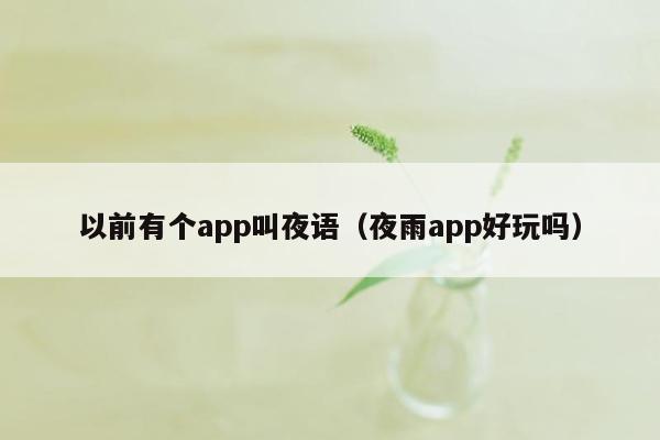 以前有个app叫夜语（夜雨app好玩吗）