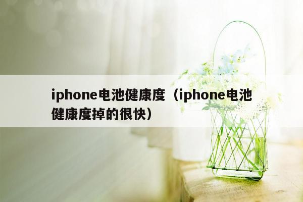 iphone电池健康度（iphone电池健康度掉的很快）