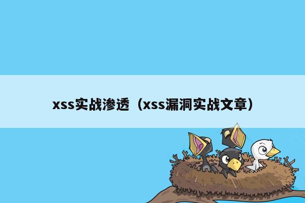 xss实战渗透（xss漏洞实战文章）