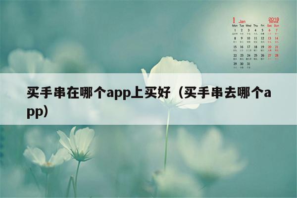 买手串在哪个app上买好（买手串去哪个app）