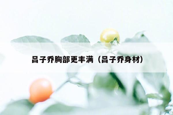 吕子乔胸部更丰满（吕子乔身材）