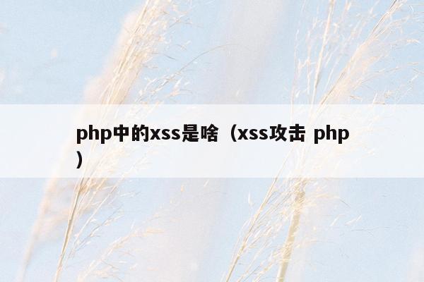 php中的xss是啥（xss攻击 php）