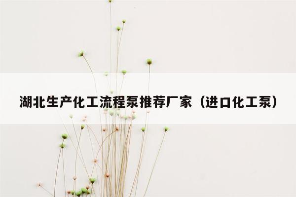 湖北生产化工流程泵推荐厂家（进口化工泵）