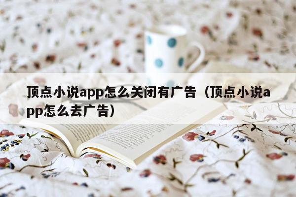 顶点小说app怎么关闭有广告（顶点小说app怎么去广告）