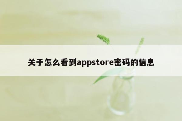 关于怎么看到appstore密码的信息