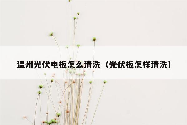 温州光伏电板怎么清洗（光伏板怎样清洗）