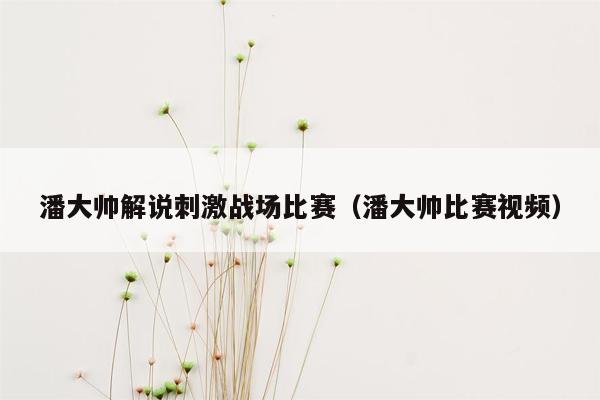 潘大帅解说刺激战场比赛（潘大帅比赛视频）