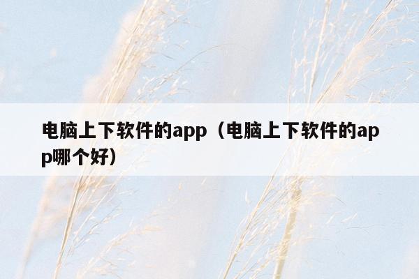 电脑上下软件的app（电脑上下软件的app哪个好）