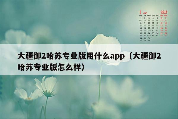 大疆御2哈苏专业版用什么app（大疆御2哈苏专业版怎么样）