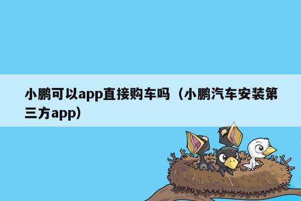 小鹏可以app直接购车吗（小鹏汽车安装第三方app）