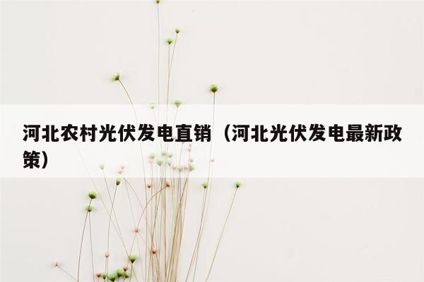 河北农村光伏发电直销（河北光伏发电最新政策）