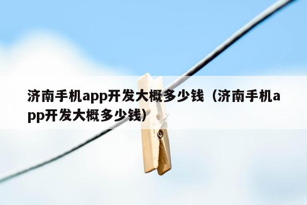 济南手机app开发大概多少钱（济南手机app开发大概多少钱）