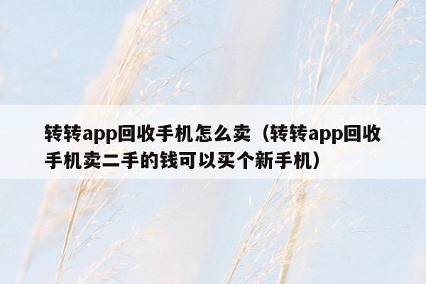 转转app回收手机怎么卖（转转app回收手机卖二手的钱可以买个新手机）