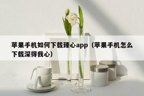 苹果手机如何下载臻心app（苹果手机怎么下载深得我心）