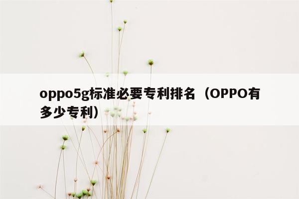 oppo5g标准必要专利排名（OPPO有多少专利）