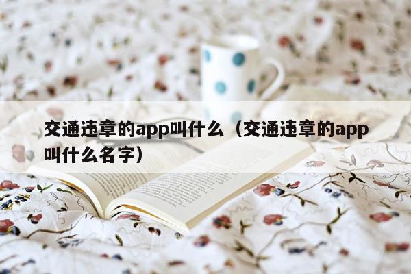 交通违章的app叫什么（交通违章的app叫什么名字）