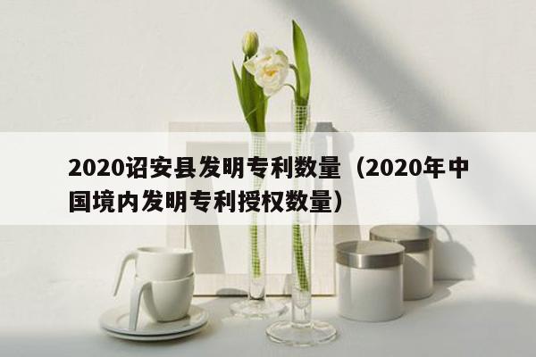 2020诏安县发明专利数量（2020年中国境内发明专利授权数量）