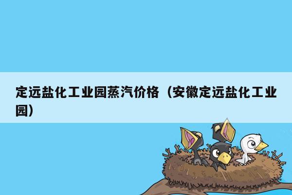 定远盐化工业园蒸汽价格（安徽定远盐化工业园）