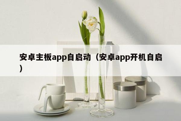 安卓主板app自启动（安卓app开机自启）