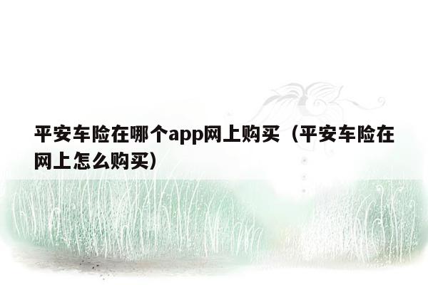 平安车险在哪个app网上购买（平安车险在网上怎么购买）