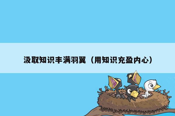 汲取知识丰满羽翼（用知识充盈内心）