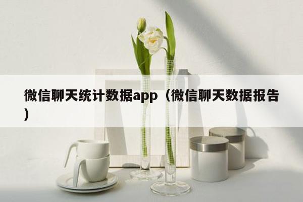 微信聊天统计数据app（微信聊天数据报告）