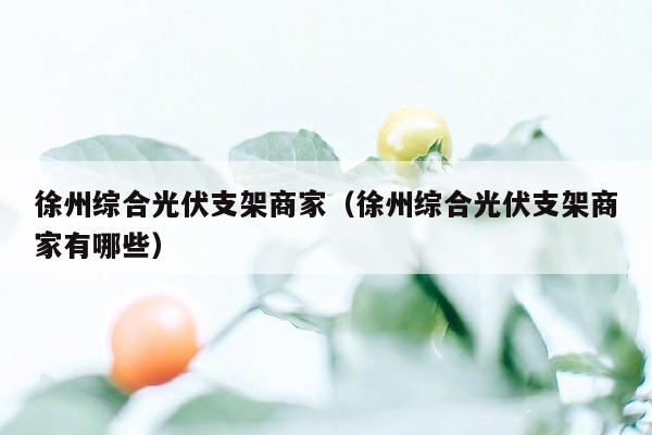 徐州综合光伏支架商家（徐州综合光伏支架商家有哪些）