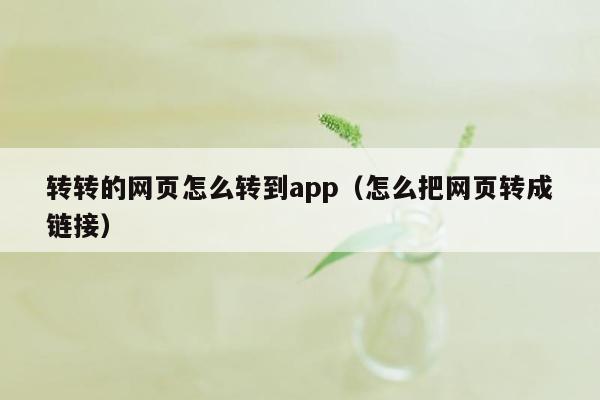 转转的网页怎么转到app（怎么把网页转成链接）