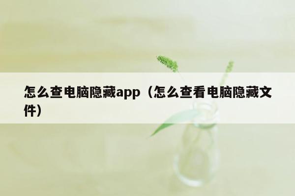 怎么查电脑隐藏app（怎么查看电脑隐藏文件）