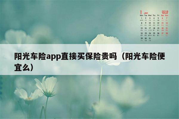 阳光车险app直接买保险贵吗（阳光车险便宜么）