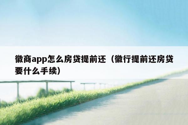 徽商app怎么房贷提前还（徽行提前还房贷要什么手续）