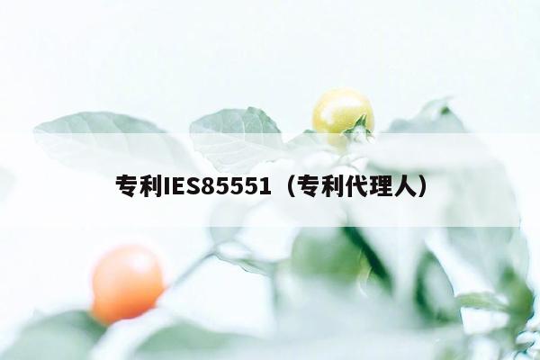 专利IES85551（专利代理人）