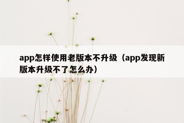 app怎样使用老版本不升级（app发现新版本升级不了怎么办）