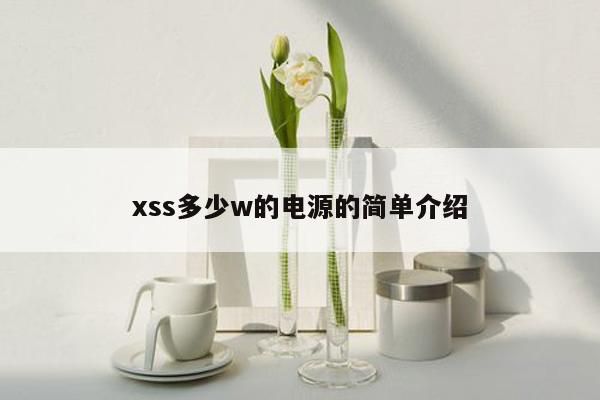 xss多少w的电源的简单介绍