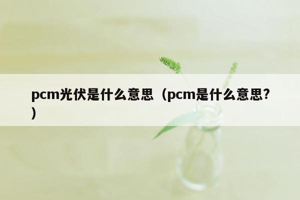 pcm光伏是什么意思（pcm是什么意思?）