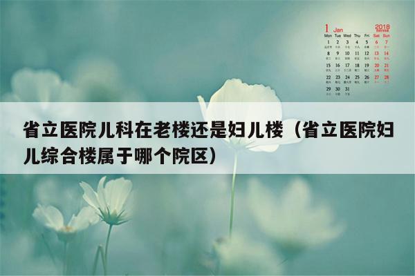 省立医院儿科在老楼还是妇儿楼（省立医院妇儿综合楼属于哪个院区）