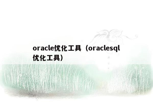 oracle优化工具（oraclesql优化工具）