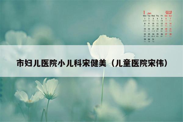 市妇儿医院小儿科宋健美（儿童医院宋伟）